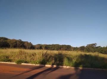 Foto 05 · Área Terreno, São José, Ituiutaba, MG