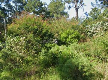 26092482_g.jpg · 
                                Terreno na Aldeia da Lagoa
                            