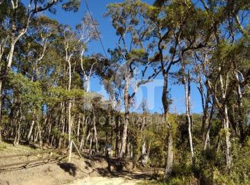 427475_ip7x6h_42747564a564bc8a20f_Dk0ZjU5MWI2Zjg2_o.jpg · Terreno para vender em Rancho Queimado, com 20.000m², Santa Catarina