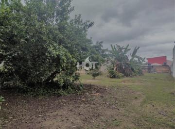 427270_in5p0v_42727064a5631d3115b_zljMmM1YWVkZmFk_o.jpg · Terreno para vender na Praia João Rosa, Viabilidade, Biguaçu
