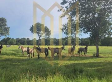 Fazenda 5.000 Ha à venda - Cáceres MT · Fazenda 5.000 Ha à venda - Cáceres MT