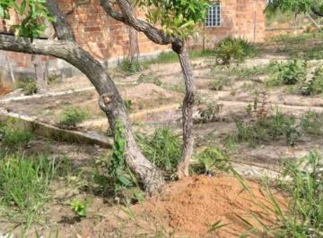 95945_30-1_144824.jpg · LOTE/TERRENO
