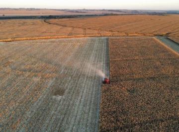 Rural de 98 quartos, Curitiba · Fazenda no PR com 877 Alqueires próximo a Campo Mourão
