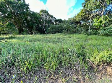 Terreno , Mata de São João · Lote 600m² à venda - Praia do Forte