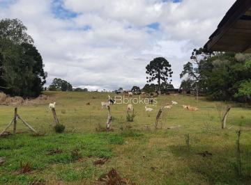 719cad1cd701c96c0c0d18b2119df71bd062a365 · Chácara à venda, 43000 m² por R$ 990.000,00 - Centro - Araucária/PR