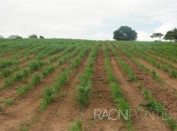 b6c327a3dda5dac71e2a1b0368a2ffa20df1ad97 · Fazenda extraordinária Produtiva em São Pedro com uma área total de 171 hectares