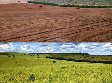 4ac99b9c9e2626de7d389c299693120453b9680f · Invista em uma fazenda de ILP com recursos hídricos abundantes em Darcinópolis - TO