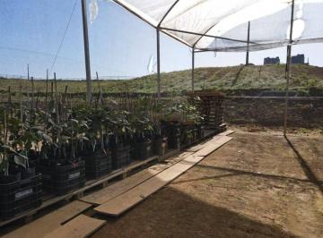 3abe5bee181cdfb7e7f071172632d507aa6864e5 · Propriedade fértil na encantadora paisagem da Serra da Mantiqueira: Oásis para o cultivo