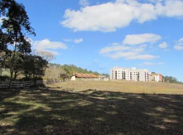 c3c22e3bea701c9ead9e513bd2c278774396b3f3 · Propriedade Única com 200 Hectares Produtivos e  Reserva Florestal na Fazenda REX - 240 ha