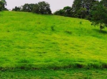 Terreno , Arujá · terreno 20.000 m² Parque Jacarandás Aruja