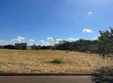 476d1f4054450284a25fe1219e713458045ec0db · Terreno à venda, 200 m² por R$ 55.000 - Jardim Amélia - Palestina/SP