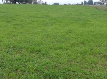 20230722114110147508.jpg · Fazenda para Venda em Santiago, Rural