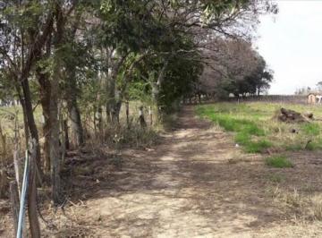7d9af902ba57385293b1d852a910f3c4559169a7 · Área à venda, 5000 m² por R$ 1.300.000,00 - Traviú - Jundiaí/SP