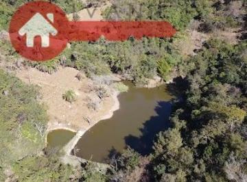 Comercial · 300m² · 5 Quartos · 9 Vagas · Vendo fazendinha em Florestal 8 hectares