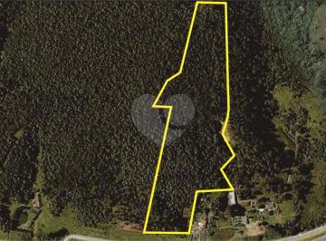 Área de Serviço · Área de Terra à venda em Itaquaciara - SP