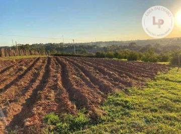 8283d71fad0a3f9c77fc8c980d39583006ec4bed · Sítio com 3 dormitórios à venda, 26455 m² por R$ 1.800.000,00 - Reforma Agrária - Valinhos/SP