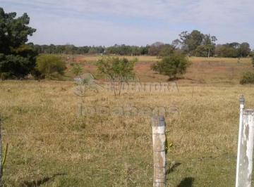 Rural · 570928m² · 1 Quarto · Porque comprar este Sítio em São José do Rio Preto!!!!! - Com produção de madeira, frutas, açaí e ou