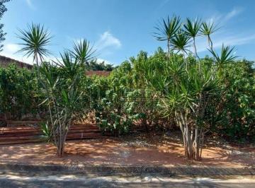 img0 · Terreno a venda em Adalberto Frederico Oliveira Roxo ll, Araraquara