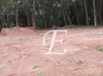 2ae43e769ed160442eaaca251bbf3d1a9c644242 · Terreno à venda, 421 m² por R$ 405.000,00 - Jardim Peri - São Paulo/SP