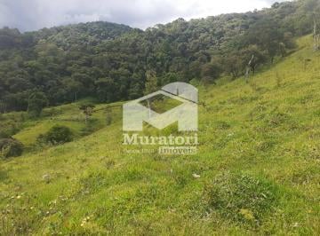 Rural · 111361m² · Sítio à venda