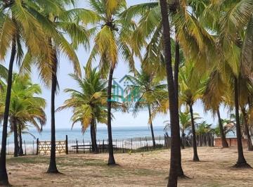 Rural · 50100m² · Sítio Pé na areia em Coruripe, 5 hectares, com 54 metros beira-mar na Praia do Miaí de Cima - Alagoa