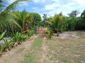 Terreno · 11537m² · Vendo Terreno em Olivença Bahia 