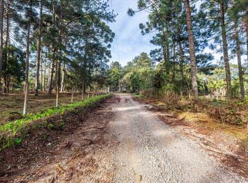 Rural · 29216m² ·   LOTE Nº 09 – 29.213,72 M2 R$ 600.000,00<