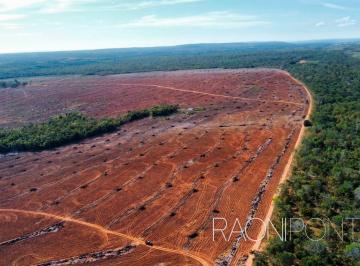 58f89d537bd0384f9449ac89d24fc42f75384167 · FAZENDA EM SÃO VALÉRIO-TOCANTINS: Oportunidade de investimento imperdível!