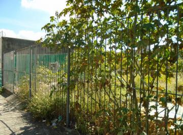 terrenoparalocacaocampogranderiodejaneirorj_jpg1660328698440.jpg · Terreno para locação, Campo Grande, Rio de Janeiro, RJ
