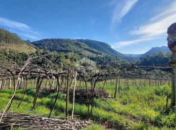 434560_i21FNR00J5yJ29_43456064c7ff4ce137c.jpg · Terra em Linha Pederneira
