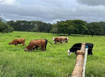 Foto 01 · Sítio venda. Empório Negócios vende sítio pecuária na região de Monte Santo de Minas - MG.