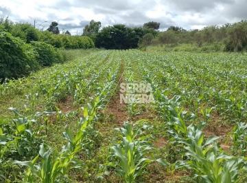 Foto 01 · chácara para produção agrícola e plantio 40.000 m² Recanto das Emas-DF