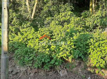 Terreno 280m² Venda Floresta · Lote em Rua Abel Parmegiani - Floresta - Gramado/RS