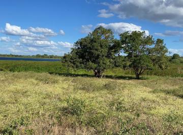 Terreno , Glória · Propriedade com 17.784 m², margens do Rio São Francisco, área urbana de Glória
