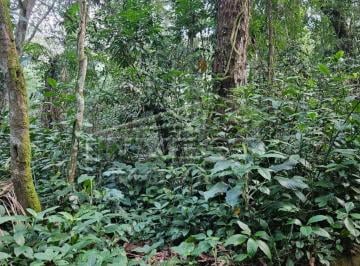 Imagem do Imóvel · Ubatuba, Praia do Felix - Lote em fase de licenciamento ambiental, lote de 1000m2, com proposta de l