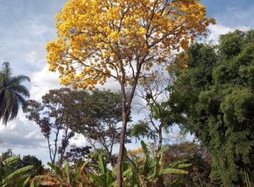 96008_30-1_163025.jpg · LOTE/TERRENO