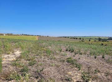 Rural · 21000m² · Sítio de 21.000 m² em Holambra - SP