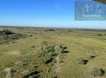 Rural , Campo Grande · ML FAZENDAS VENDE -  P A N T A N A L – MS Fazenda de Cria / Recria 8.400 HECT