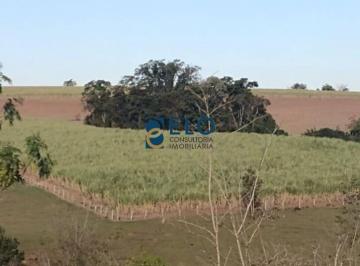 Rural · 22700m² · 1 Quarto · Sítio em Rio Claro/SP com Área Total: 54,93 hectares (correspondentes a 22,7 alqueires paulistas).