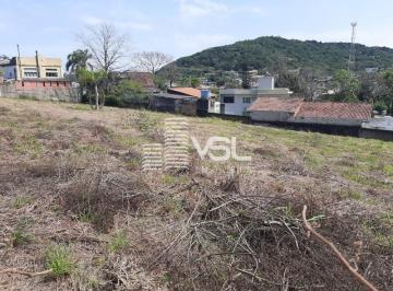Foto 04 · Terreno com 2.395 m², viabilidade AMS 3.5, bem localizado