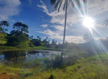 Foto · Terreno, Baixo Sul, Santo Amaro, BA