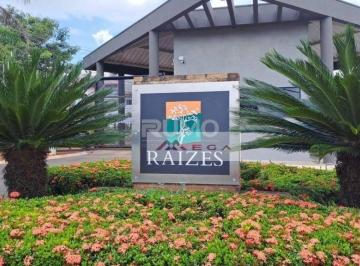 217491a4eca2b180eaea2857f4fab7672767d7e7 · Terreno à venda, 300 m² por R$ 330.000,00 - Sitio Santa Rosa - Paulínia/SP