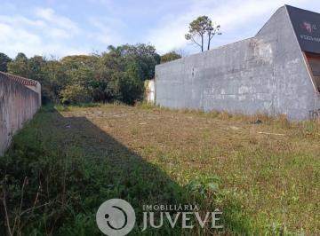 14210310200.jpg · IMOBILIARIA JUVEVÊ ALUGA TERRENO 609 M² SÃO FRANCISCO PRX MATEUS LEME COLEGIO MARISTA FESTVAL PARQUE