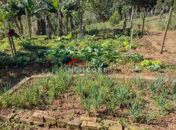 Rural en Venda de 4 quartos · Chácara em rua das jaboticabas - Feital - Adrianópolis/PR