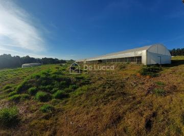 0 · Àrea 20.000m2 em Holabra SP