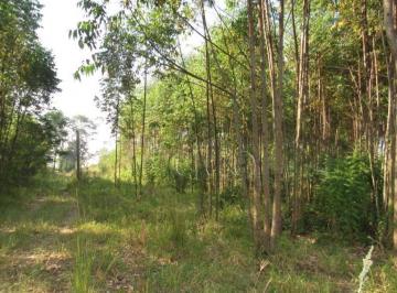fe646e2d477df9fa5177c944c4d61d7f0f2d19fb · Área à venda, 90000 m² por R$ 2.250.000,00 - Santa Luzia - Charqueada/SP
