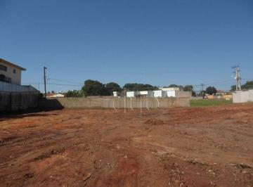 906bfaab1d9f26de675ec52a6c2ab6a3ba6c40da · Terreno para alugar, 2280 m² por R$ 4.660,00/mês - Dois Córregos - Piracicaba/SP