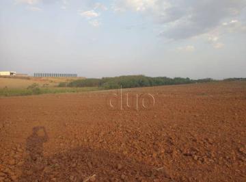 498311193569ec57828000b8d2056fefd76801e1 · Terreno para alugar, 107000 m² - Comendador Mário Dedini - Piracicaba/SP
