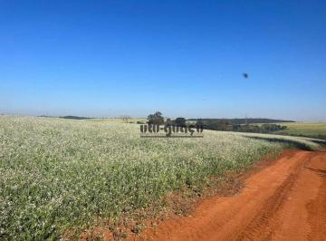 be2b9187f2fb80860b6dd3845870bc568e098c78 · Fazenda à venda, 3.146.000 m² - Zona Rural - Lençóis Paulista/SP