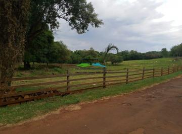 376_iX6Bezd_37664d0f6075b171.jpg · SÍTIO COM 9,8HA COM BENFEITORIAS PERTO DA CIDADE
